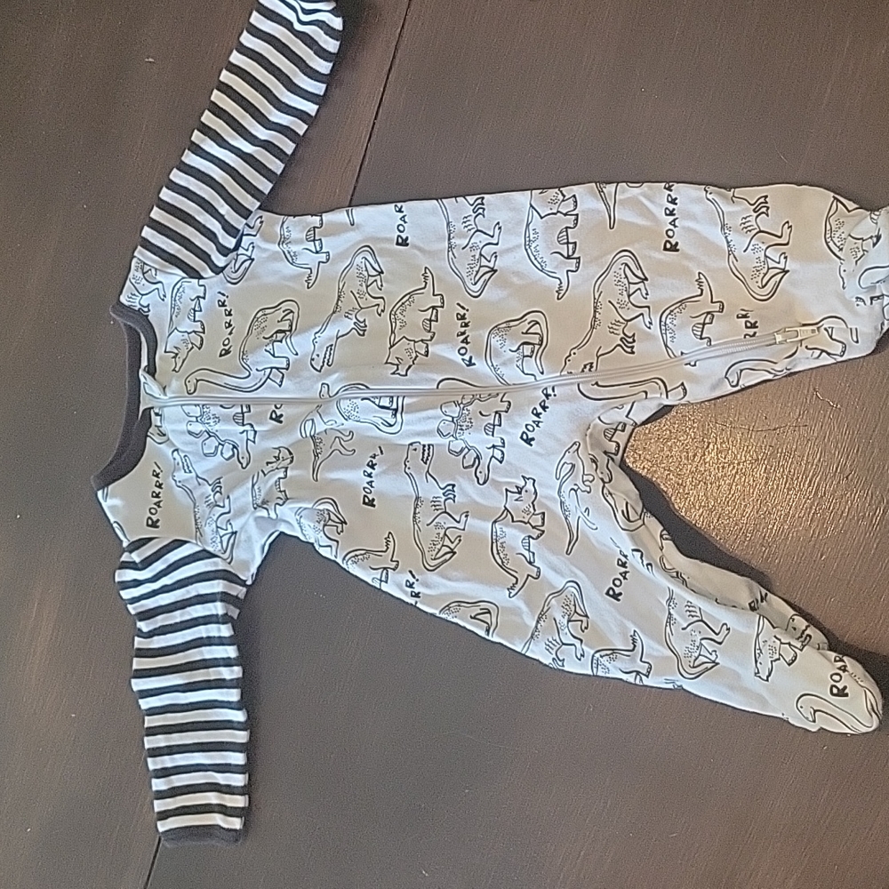 Dinosaur Sleeper
